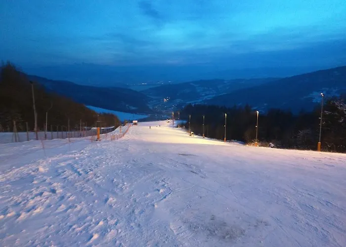 Guest house Pod Skrzydlami