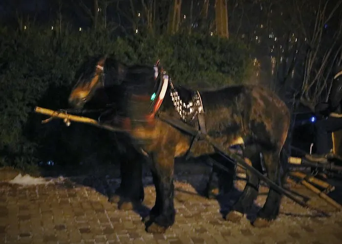 Pod Skrzydlami Guest house Miedzybrodzie Bialskie