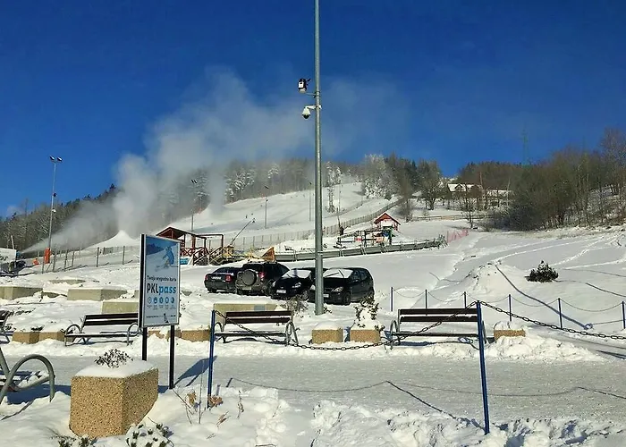 Guest house Pod Skrzydlami *