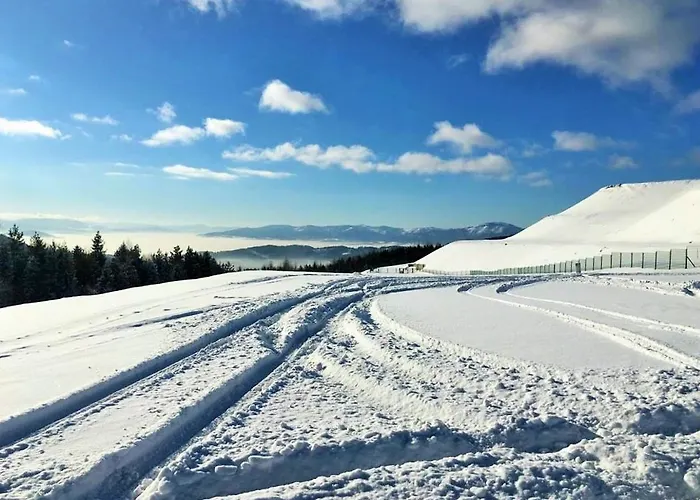 Willa Pod Skrzydlami